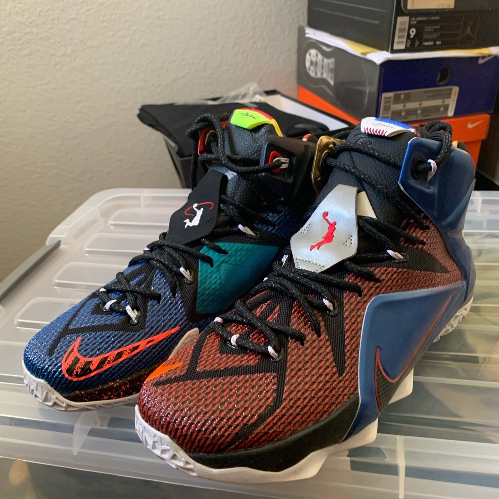 Nike LeBron XII What the Lebron Shoes
